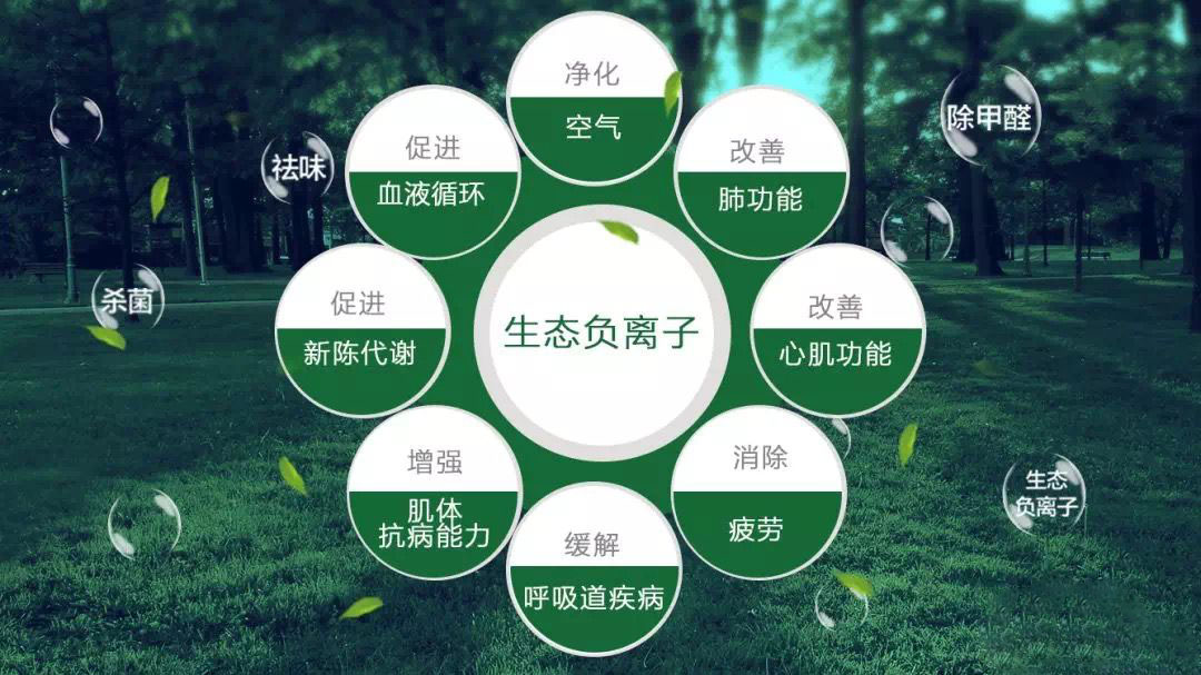蔬菜長(zhǎng)途運(yùn)輸如何保鮮？